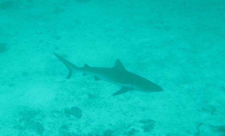 Summer Shade Maldives Dharavandhoo Εξωτερικό φωτογραφία