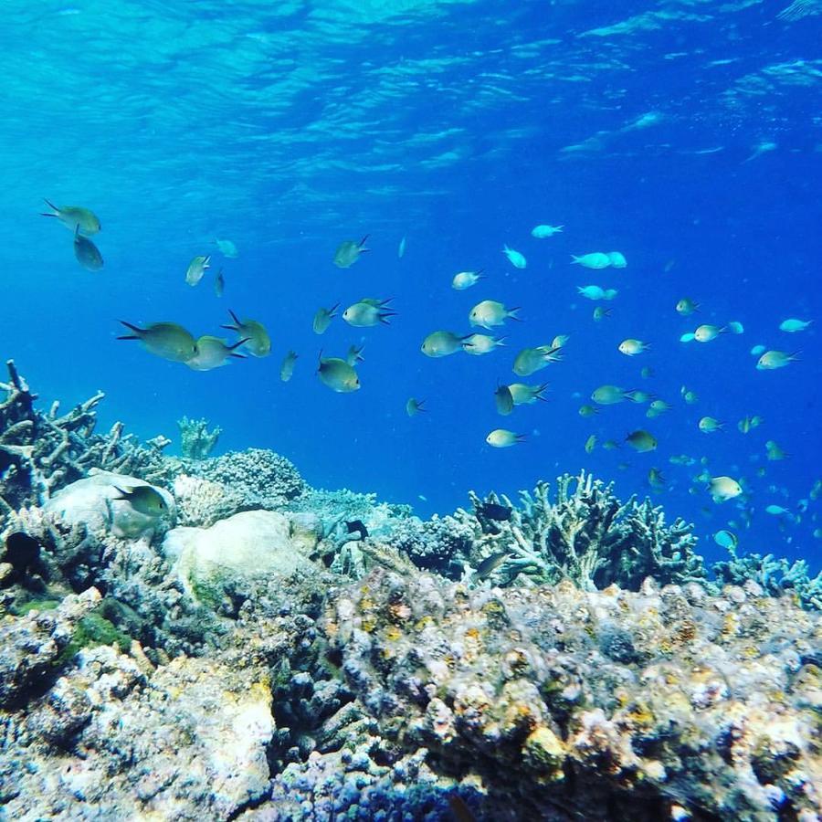Summer Shade Maldives Dharavandhoo Εξωτερικό φωτογραφία